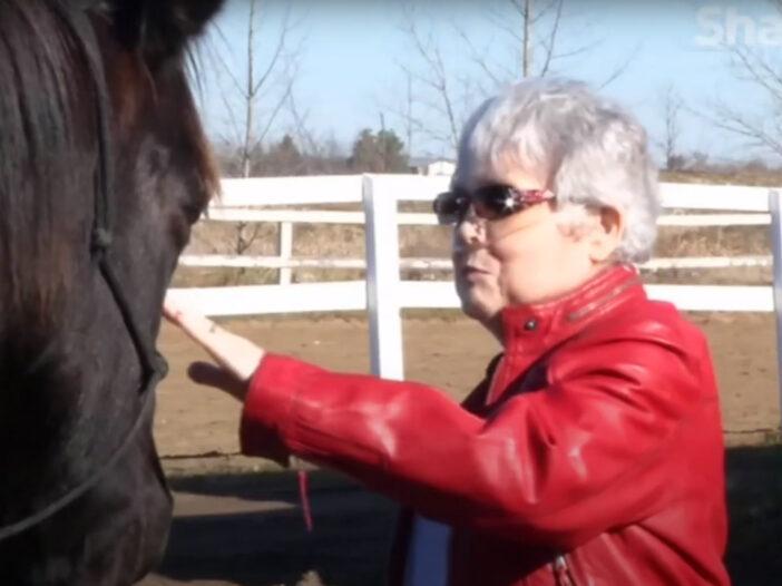 An older woman with white hair wearing a red jacket reaches out to touch the nose of a horse.